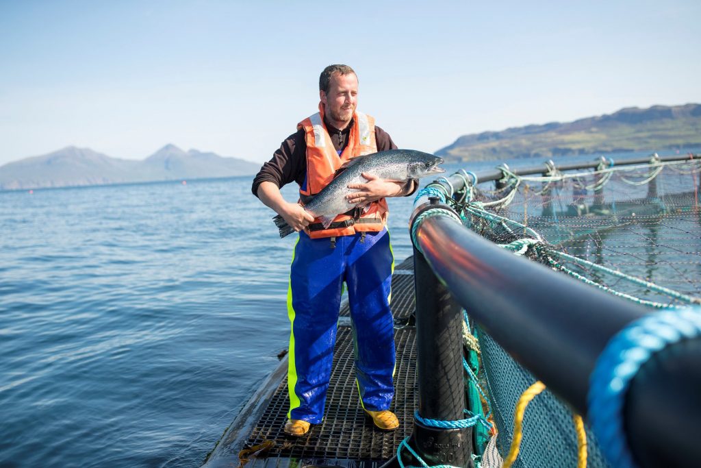 man holding salmon on boat