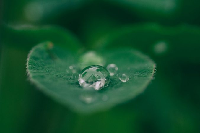 Elon Musk Announces $100 Mln Donation to ‘Best’ Carbon Capture Technology