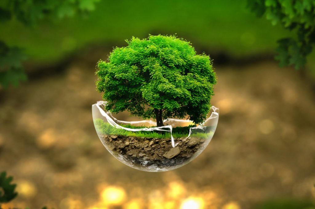 Sustainability must be driven by corporates