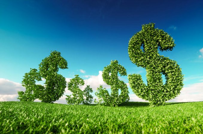 Sustainable Bonds Bring All Kinds to Green Movement