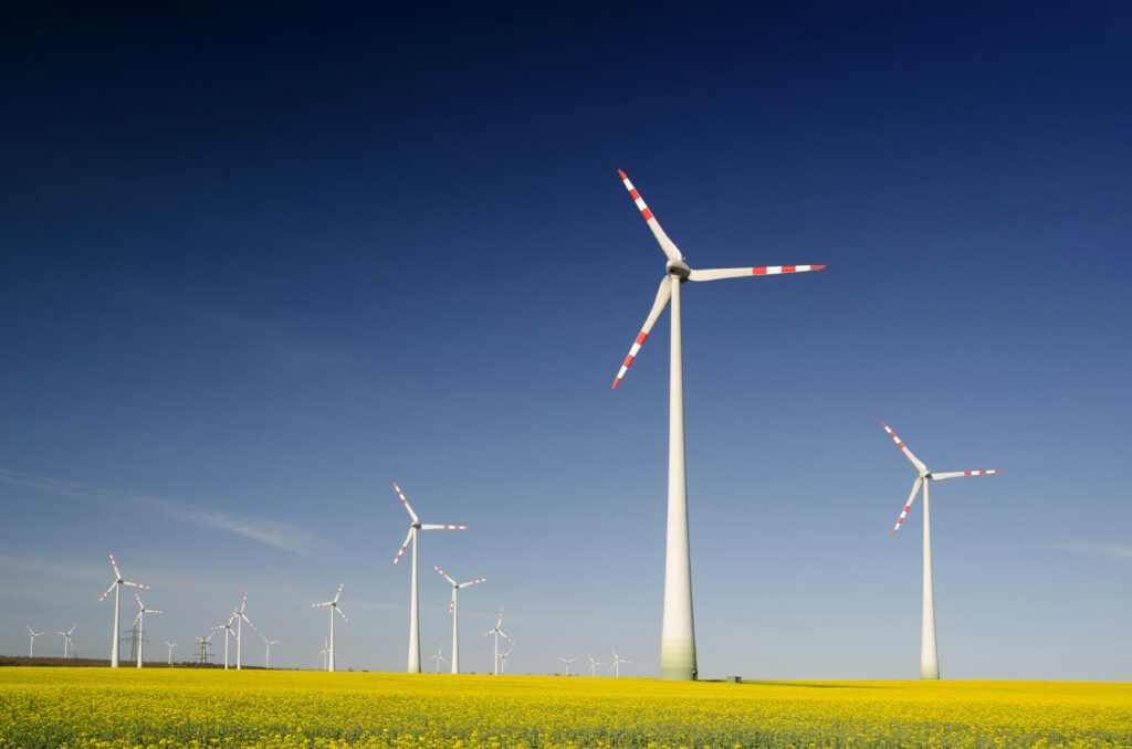 WTO