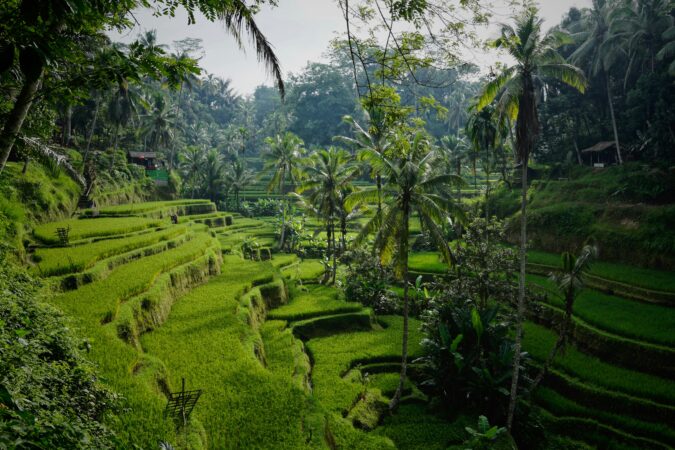 Bali to Ban Plastic Sachet Production Starting in 2026