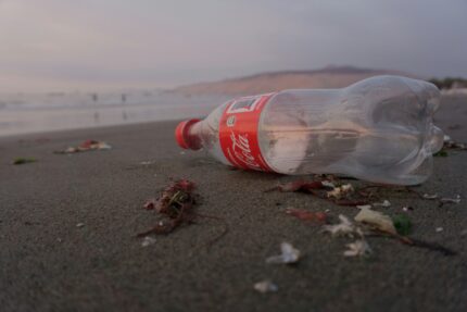 Coca-Cola Reports Significant Increase in Recyclable Packaging